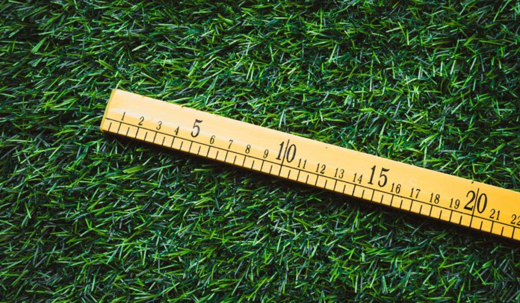 Introduction to measurement