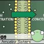 Diffusion- production issues