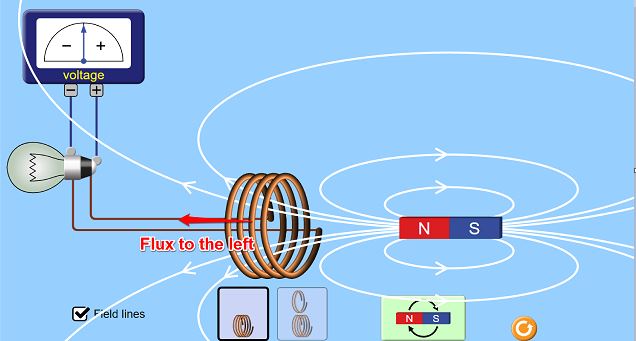 Lenz’s Law of Action and Reaction